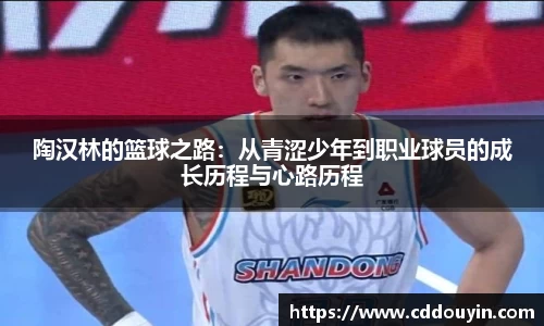 陶汉林的篮球之路：从青涩少年到职业球员的成长历程与心路历程